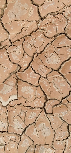 Cracked dry earth texture