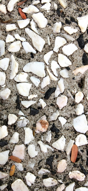 Close-up of aggregate concrete with white and black stones