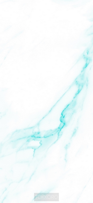 Blue marble texture with TOKKORO logo