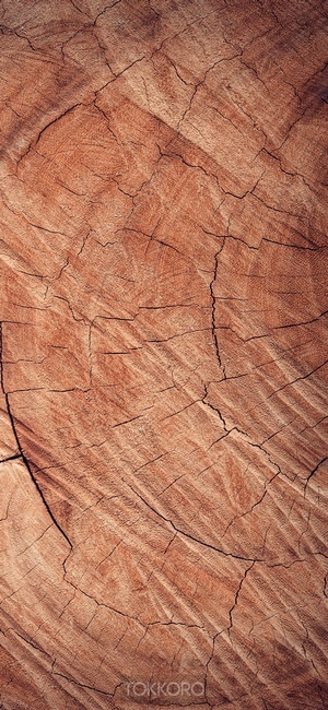 Wood texture with cracks