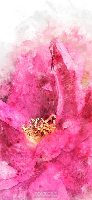 Pink flower watercolor painting
