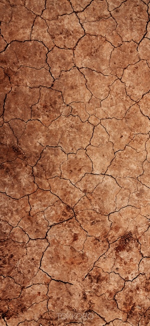 Cracked dry earth texture