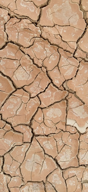 Cracked dry earth texture