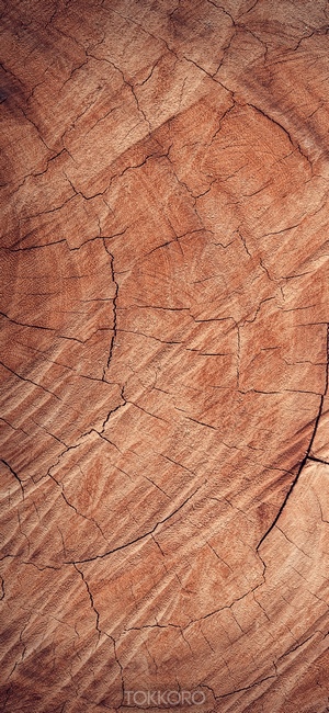 Close-up of cracked wood texture