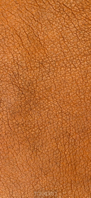 Brown leather texture