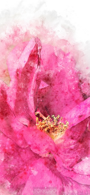 Pink flower watercolor painting