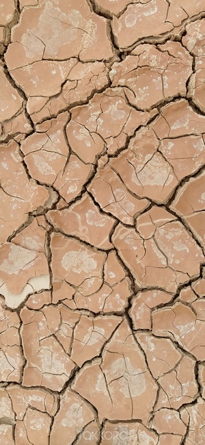 Cracked dry earth texture
