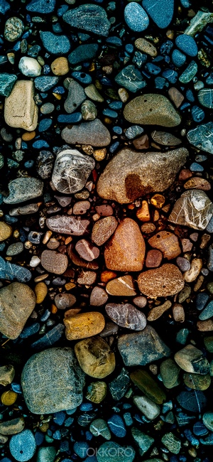 Close-up of colorful wet stones on a dark surface