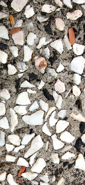 Close-up of terrazzo flooring with white and black stones