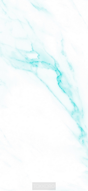 Blue marble texture with TOKKORO logo