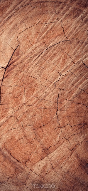 Close-up of a cracked wood texture