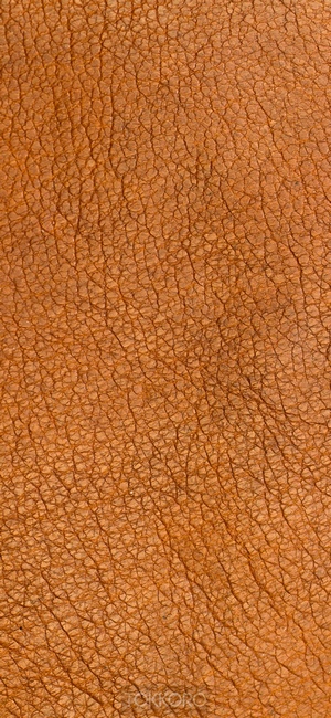 Brown leather texture