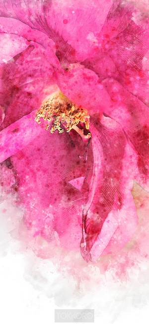 Pink flower watercolor iPhone 11 Pro screensaver