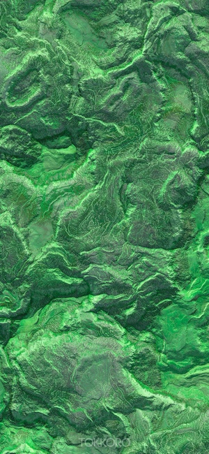 Green textured terrain, iPhone 11 Pro screensaver