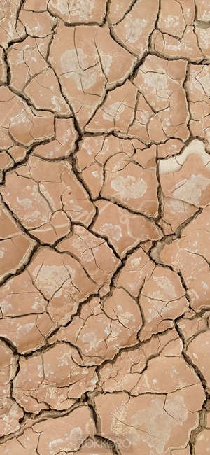 Cracked dry earth texture