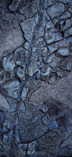 Close-up of a textured rock surface with blue and gray tones