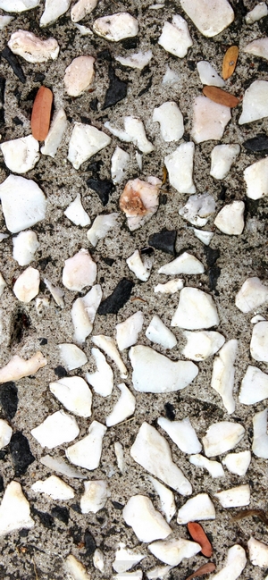 Close-up of terrazzo flooring with white and black stones
