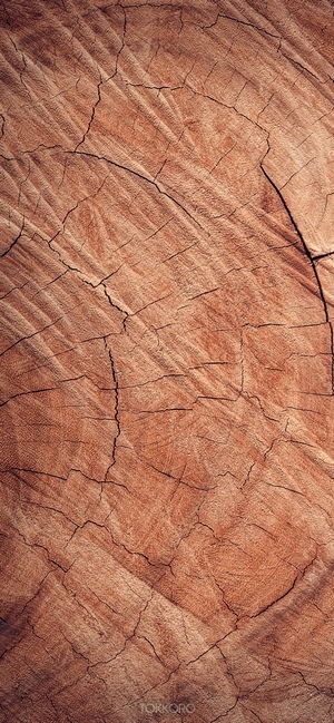 Close-up of a cracked wood texture