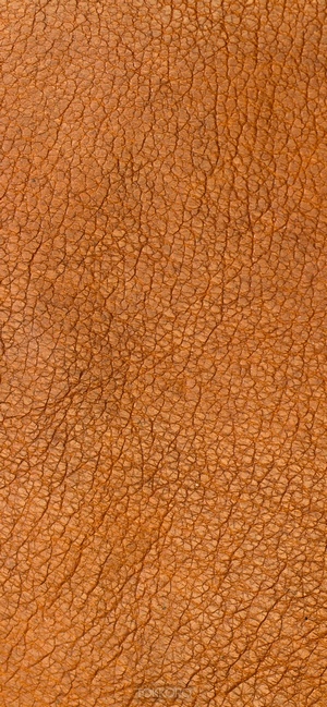 Brown leather texture