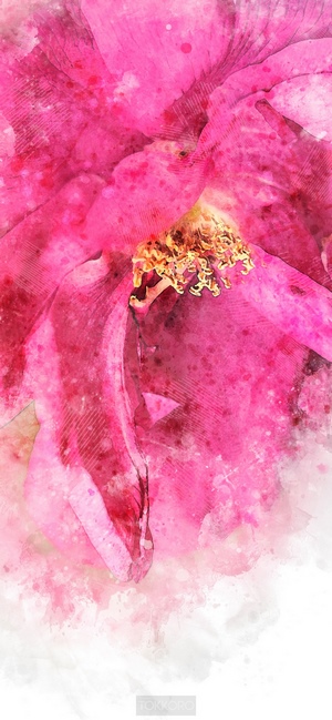 Pink flower close-up watercolor