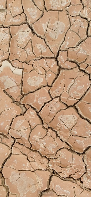 Cracked dry earth texture