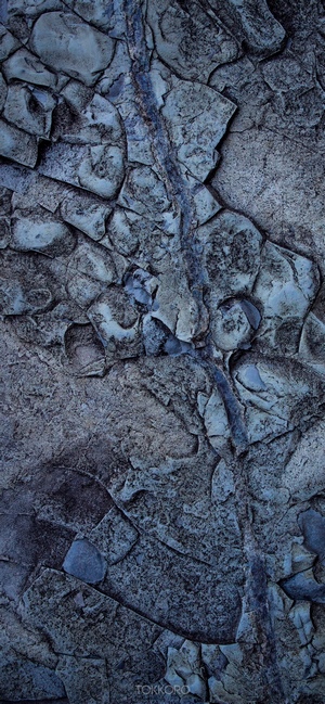 Close-up of a textured rock surface with a prominent crack