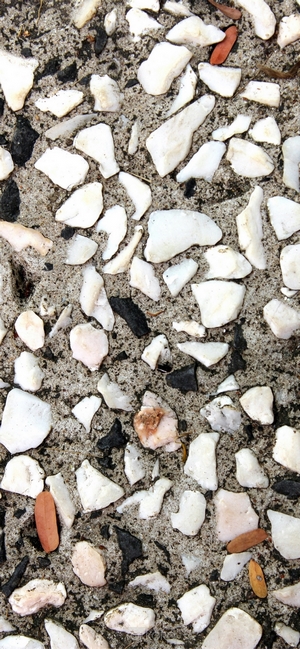 Close-up of terrazzo flooring with white and black stones