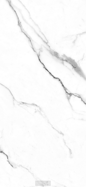 White marble texture with grey veins