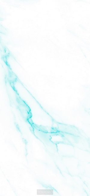 Blue marble iPhone Xr screensaver 828x1792