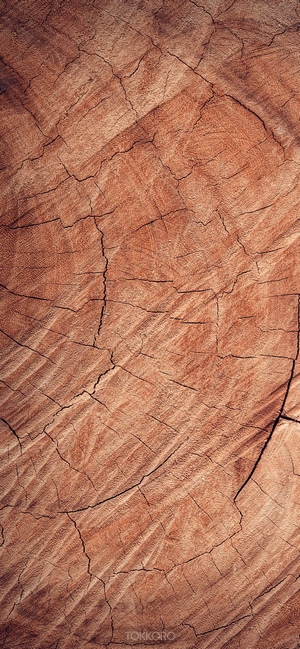 Close-up of cracked wood grain texture