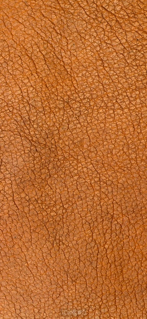Brown leather texture