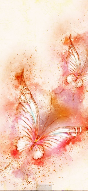Two butterflies in watercolor style