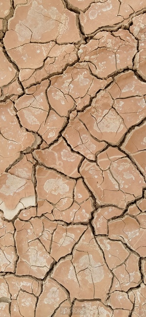 Cracked dry earth texture