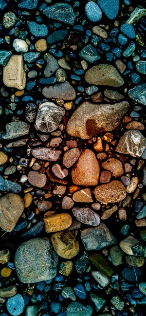 Close-up of colorful wet stones on a dark surface