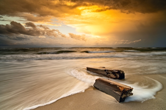 Ocean waves crash on a sandy beach with driftwood