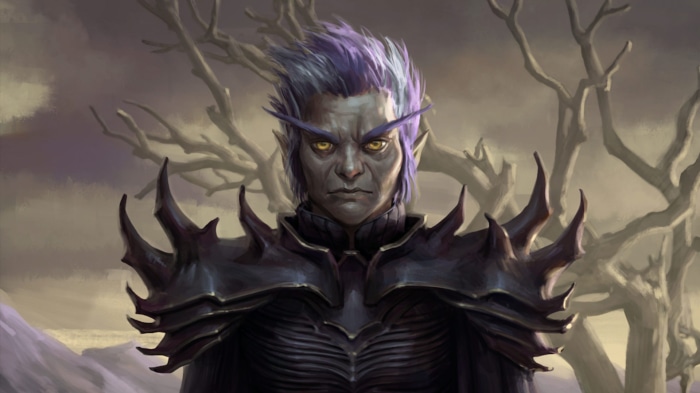 Elf from Pathfinder: Wrath of the Righteous