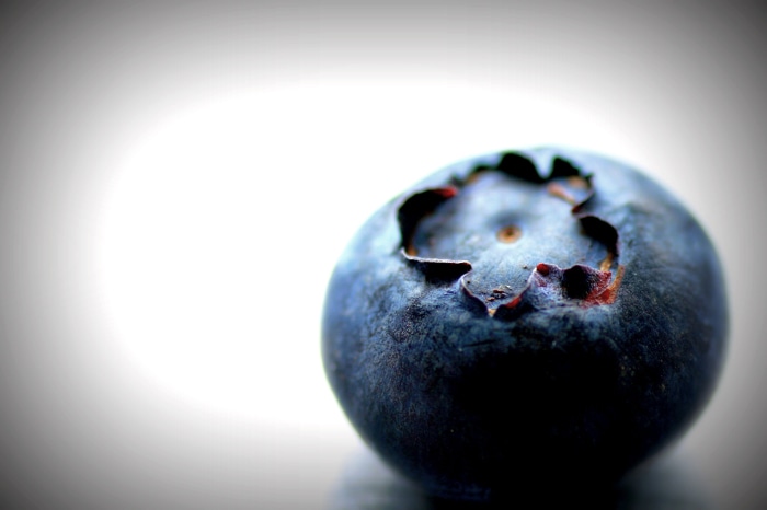 Macro shot of a single blueberry