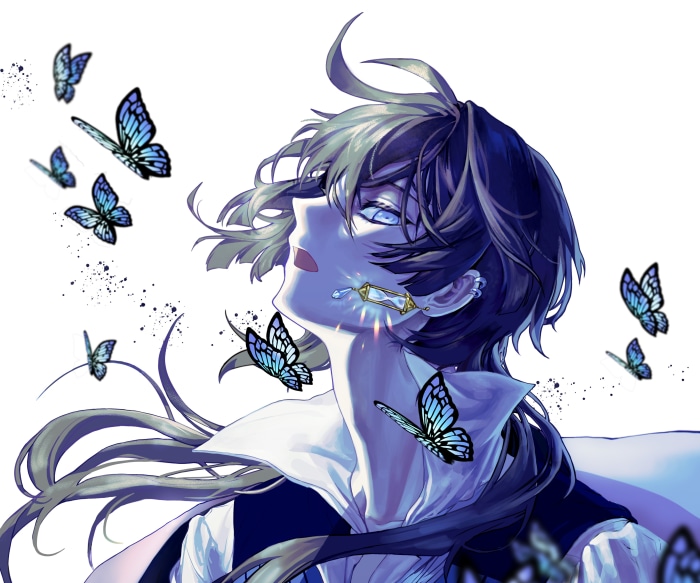 Vanitas from The Case Study Of Vanitas with butterflies