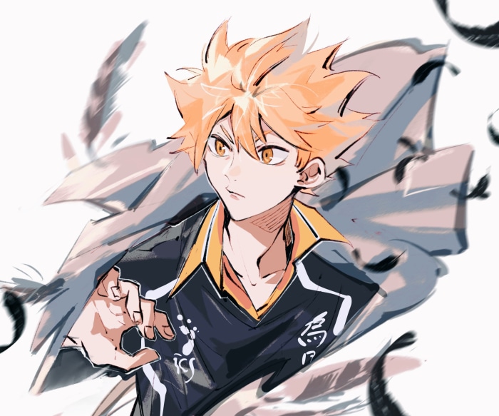 Shōyō Hinata from Haikyu!!