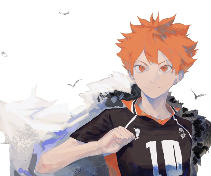 Shoyo Hinata from Haikyu!!