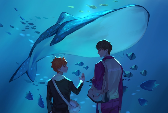 Shoyo Hinata and Wakatoshi Ushijima from Haikyu!! at aquarium