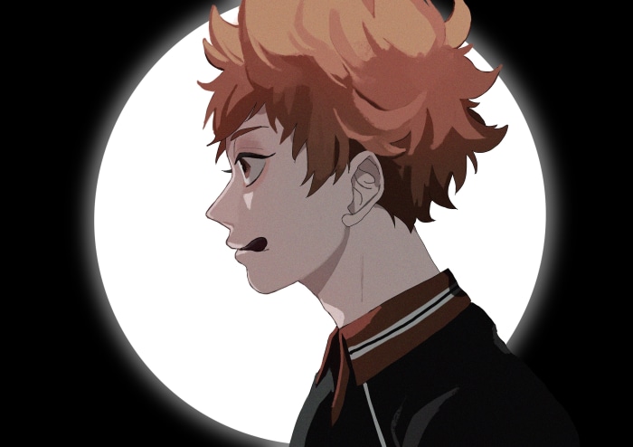 Shoyo Hinata from Haikyu!!