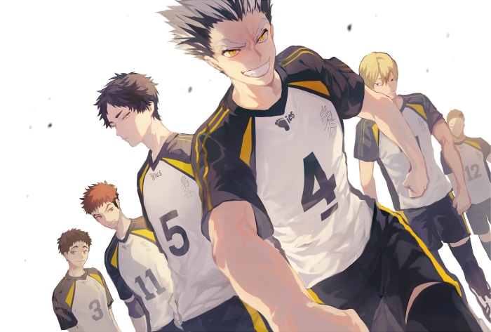 Haikyuu!! Fukurodani Academy Volleyball Team