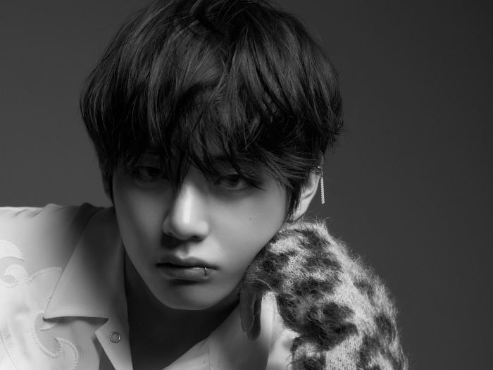 V from BTS