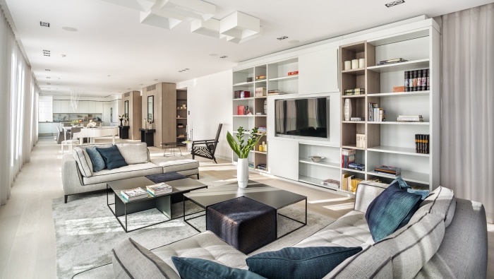 Modern living room with sofas and bookshelves