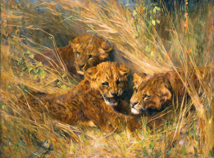 Lion Cubs in Tall Grass Painting