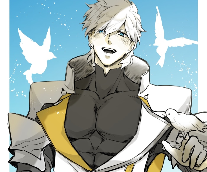 Lancer from Fate/Grand Order with birds