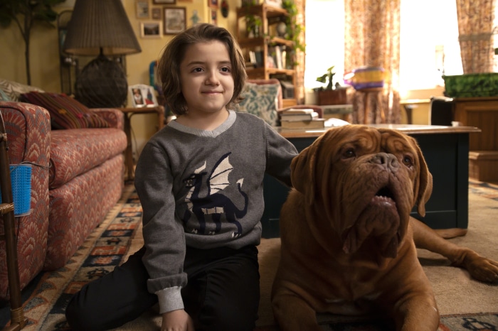 Boy and dog in a living room