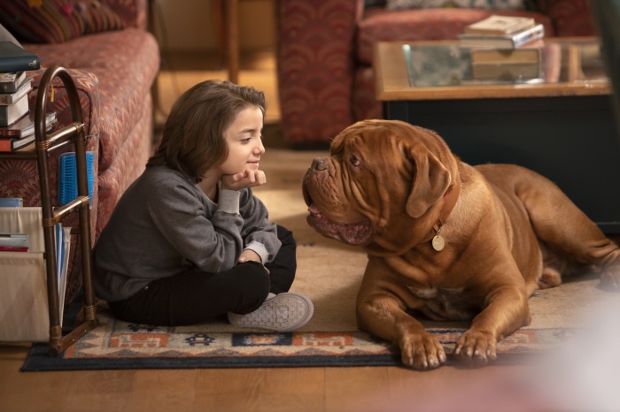 Scott Turner and Hooch from Turner & Hooch