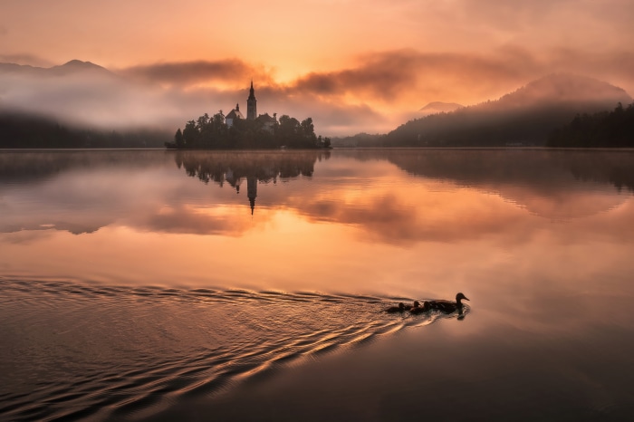 Assumption of Mary Church reflection on Lake Bled, Slovenia at sunrise